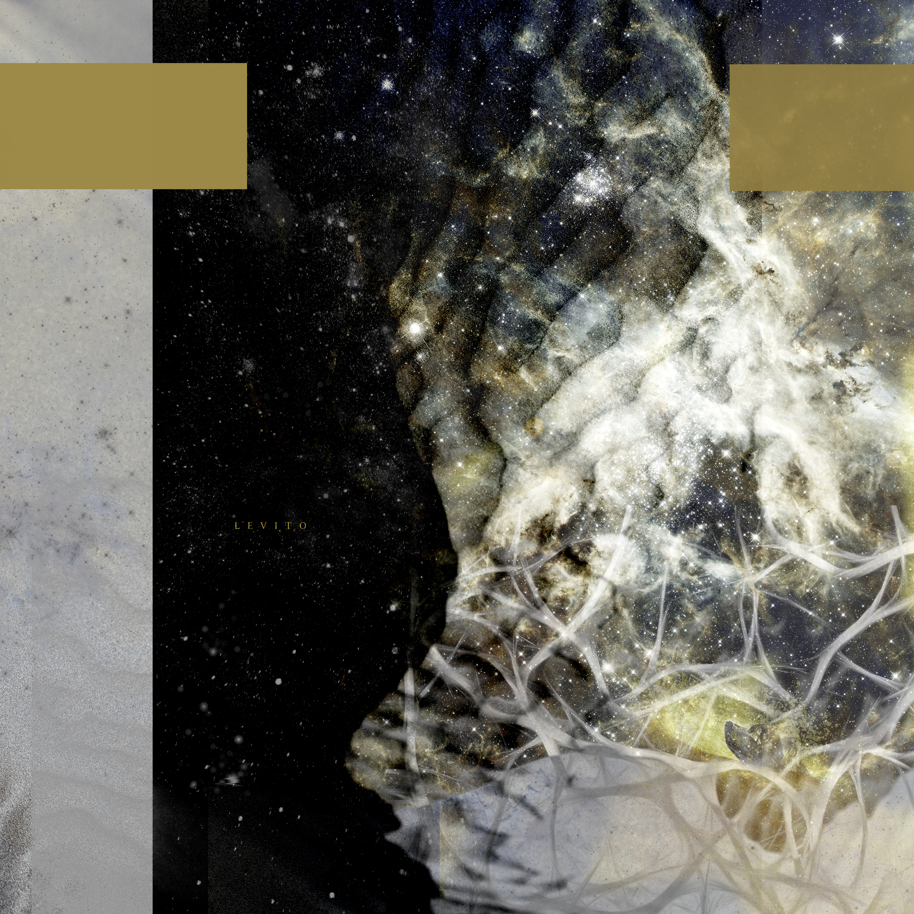 NEW // Crushted –&nbsp;Levito